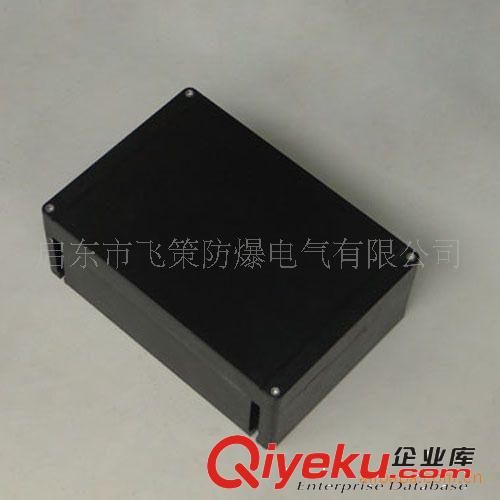 防腐接線箱/接線箱/防爆防腐接線箱/防爆防腐防塵接線箱原始圖片2