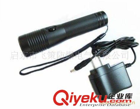 防爆手電筒/ 防爆水下燈/防爆頭規燈/強光手電筒原始圖片2