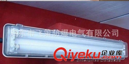 防爆防腐全塑熒光燈，BYS51防爆防腐熒光燈，防爆熒光燈