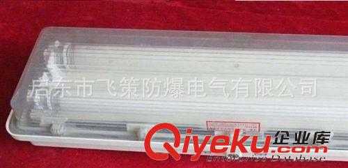 防爆防腐全塑熒光燈，BYS51防爆防腐熒光燈，防爆熒光燈