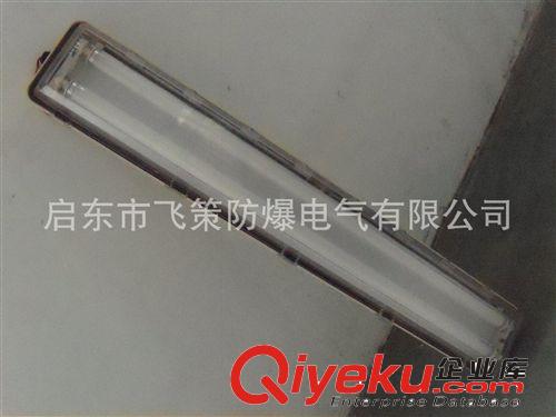 BYD防爆潔凈燈，防爆防腐潔凈燈，吉林防爆熒光燈，長春，內(nèi)蒙原始圖片3