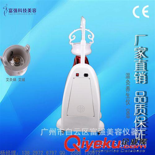 廠家直銷立式艾灸儀 美容院艾灸儀器 富強(qiáng)美容養(yǎng)生儀器批發(fā)原始圖片3