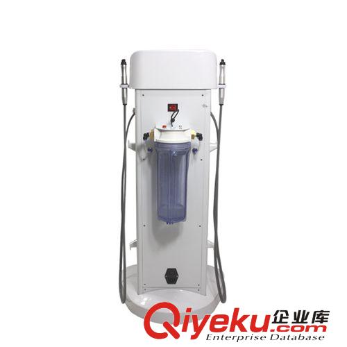 水氧活膚儀 yst-891立式純氧儀 廣州美容儀器廠家 美容院注氧儀原始圖片2