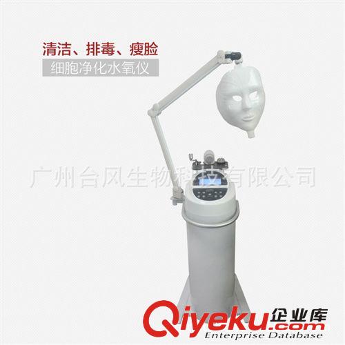 冰雕換顏專業(yè)抗衰老面部提升美白嫩膚儀器 百聯(lián)凱專用魔光儀原始圖片2