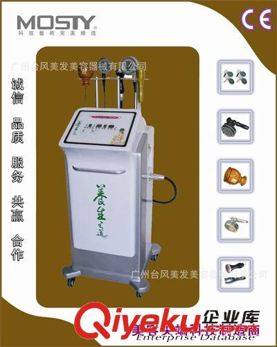 经验导入理疗养生仪 效果{zh0}的养生仪 台风直销美容仪器疏通经络