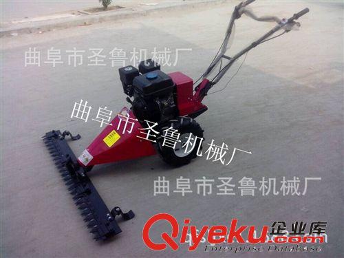 汽油草坪機(jī) 割草機(jī)家用剪草機(jī) 物業(yè)四沖程修剪機(jī)