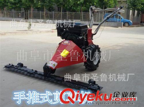 汽油草坪機(jī) 割草機(jī)家用剪草機(jī) 物業(yè)四沖程修剪機(jī)原始圖片2
