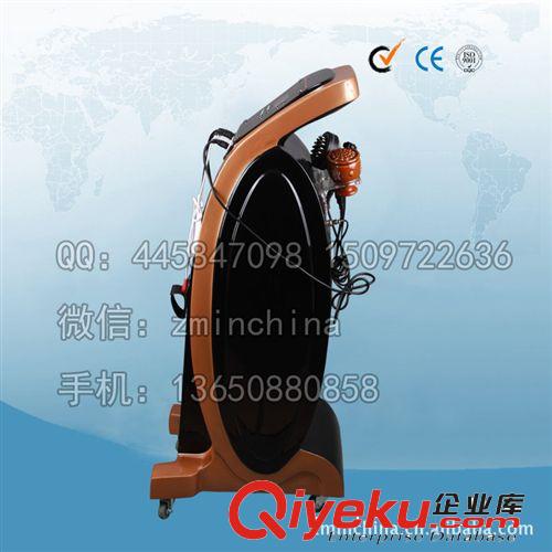 養(yǎng)生之道 健康養(yǎng)生管理專家 美容院養(yǎng)生儀器 通經(jīng)絡(luò)排毒按摩導(dǎo)原始圖片2