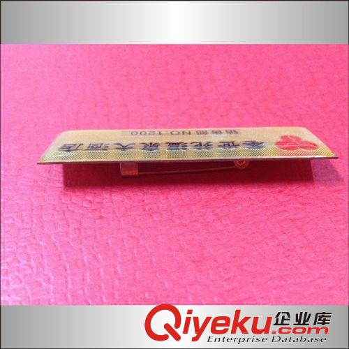 高檔星級(jí)酒店高專用胸牌 理發(fā)店 賓館 工號(hào)牌 廣場(chǎng) 婚紗攝影原始圖片2