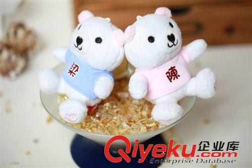 新奇特 百家姓毛絨愛心熊 女朋友熊 {zx1}款式 玩具熊 創(chuàng)意禮品原始圖片2