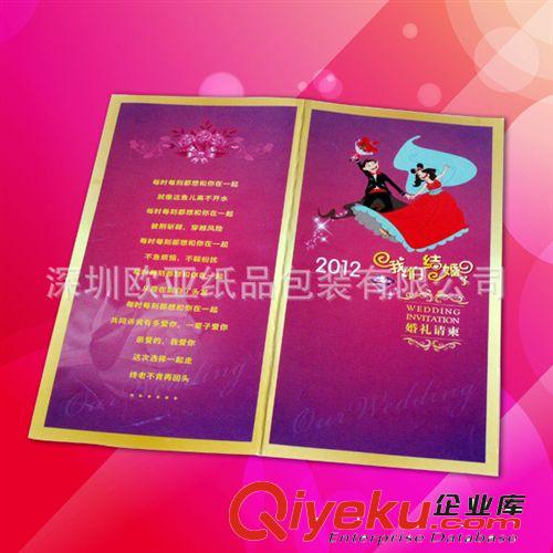彩色單色 銅版紙說明書印刷 產(chǎn)品說明書 膠裝冊子 折頁打釘