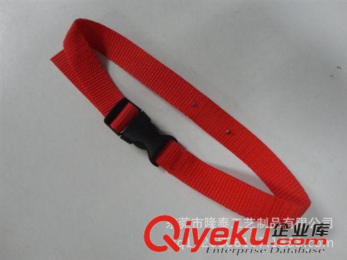 廠家定制 出口品質(zhì) 燙孔狗狗項圈 PP材質(zhì)寵物頸圈 音樂寵物圈原始圖片2