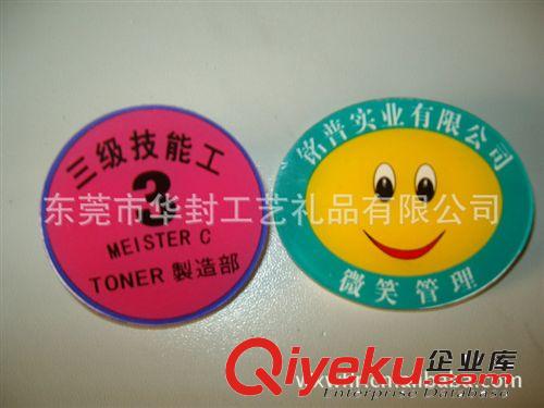 廠家批發(fā)辦公學(xué)習(xí)用品塑料胸章徽章 廣告小禮品贈(zèng)品原始圖片2