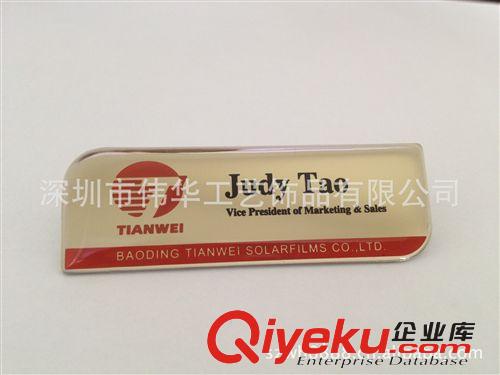 廠家低價(jià)定做gd磁鐵胸牌 金屬胸牌 工號(hào)牌 合金胸牌 胸牌定做