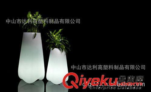 供應小夜燈、LED寵物臺燈、LED發光花盆系列、專業LED裝飾燈系列