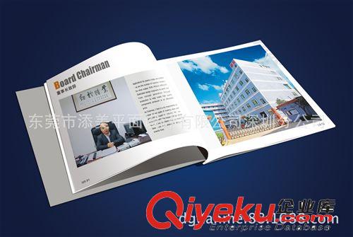 東莞畫冊設(shè)計 企業(yè)產(chǎn)品畫冊 印刷 提供營銷策劃方案，攝影服務(wù)原始圖片3