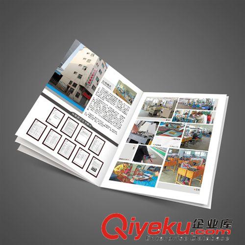 深圳桂園產品宣傳畫冊 廣告公司 12年行業(yè)經(jīng)驗 可開增值sfp原始圖片2