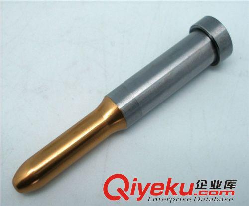 【專業(yè)廠家】精密鍍鈦B型引導(dǎo)沖，鍍鈦沖頭， 質(zhì)量保證原始圖片2