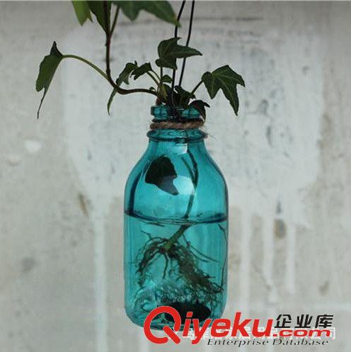 爆款！zakka風(fēng) 田園鐵絲吊瓶 創(chuàng)意插花瓶 彩色玻璃水培花瓶 BB303原始圖片3