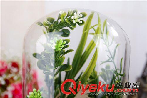 【新】苔蘚微景觀 苔蘚瓶 ECOECHO創(chuàng)意綠植 宮崎駿龍貓擺件SF7132原始圖片2