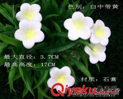 擴(kuò)香石花,竹藤枝香薰花,自然散發(fā),專業(yè)生產(chǎn)廠