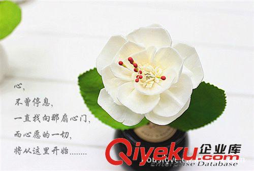 插花無(wú)火香熏,許愿樹(shù)香薰瓶,藤條自然揮發(fā)禮盒套裝,自家研發(fā)生產(chǎn)原始圖片2