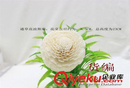 無火香薰,通草花,香薰花,藤枝自然散揮發(fā),插花香熏材料總匯