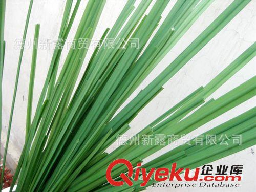新露 gd仿真花批發 插花配葉 扁水蔥 綠色植物 塑料葉子現貨原始圖片2