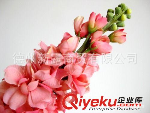 【特惠】高級(jí)仿真花外貿(mào)絹花假花 正品-春色紫羅蘭廠家批發(fā)風(fēng)信子原始圖片3