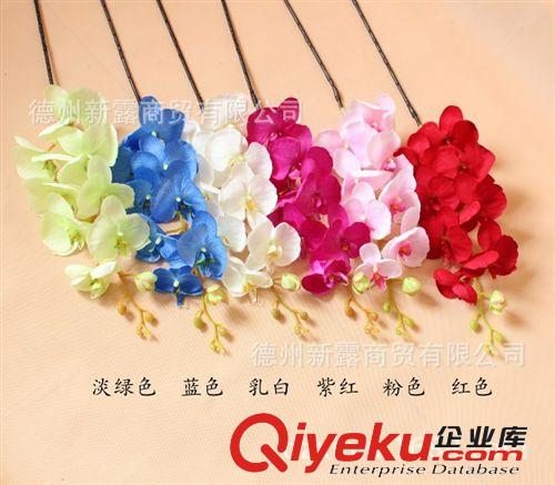 本月tj新露gd仿真花 絹花塑料花 批發(fā) 單枝蝴蝶蘭 紫紅原始圖片3