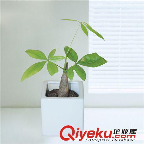 供應(yīng)手工創(chuàng)意陶瓷工藝品花盆 廠家批發(fā)白色小水壺陶瓷工藝品花盆