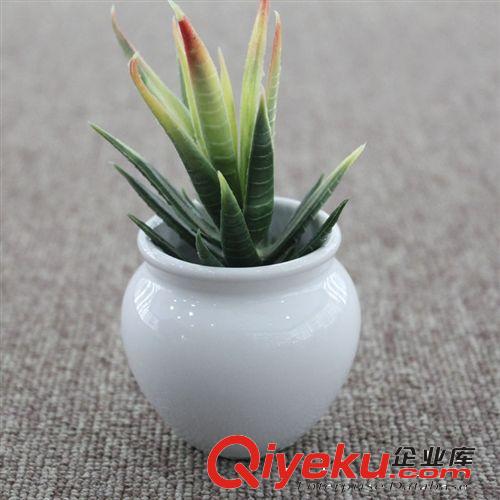 陶瓷花盆 簡(jiǎn)約白色創(chuàng)意迷你多肉陶瓷zakka盆栽時(shí)尚花盆 工廠直供原始圖片2
