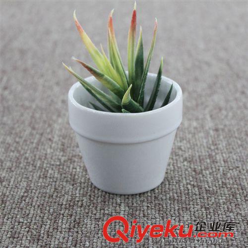 陶瓷花盆廠家  國際盆 多肉植物盆栽小花盆 家居擺設品 可定制原始圖片2