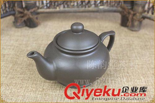 陳韻堂功夫茶壺茶具套裝茶道茶藝耐熱耐高溫凜然壺 熱賣 批發包郵