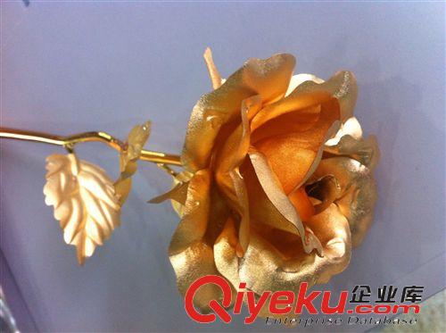 24K金箔玫瑰，鍍金玫瑰，情人節(jié)禮物，廠家直銷，手工玫瑰花原始圖片3