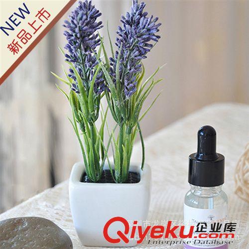 香薰 薰衣草香薰精油 时没植物香熏 香薰批发厂家 纯精油10ML