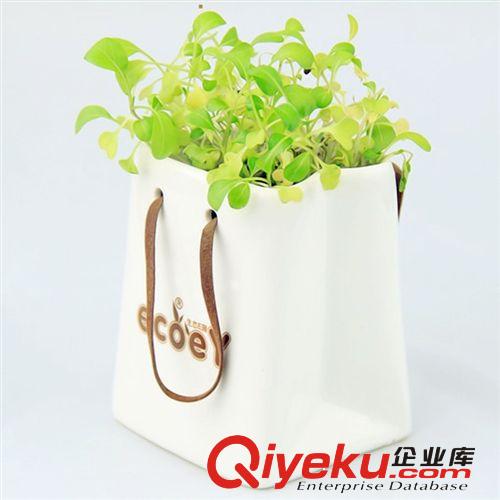 負(fù)離子植栽 防輻射盆栽 陶瓷紙袋心形草桌面盆栽迷你辦公室植物原始圖片2