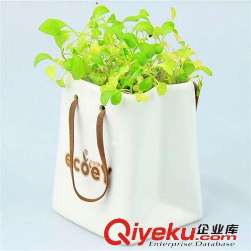 負(fù)離子植栽 防輻射盆栽 陶瓷紙袋心形草桌面盆栽迷你辦公室植物原始圖片3
