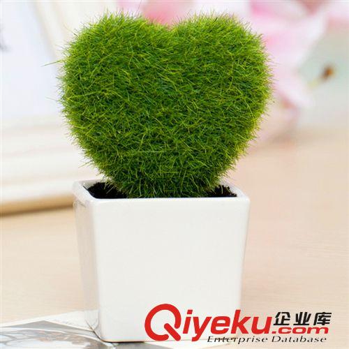 仿真植物盆景廠家小盆栽清新田園zakka創(chuàng)意禮品愛心球五角星螺紋原始圖片2