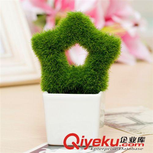 仿真植物盆景廠家小盆栽清新田園zakka創(chuàng)意禮品愛心球五角星螺紋原始圖片3