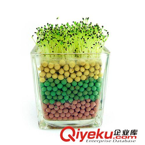 福龍 生態(tài)植物種植二代升級版陶碳球負(fù)離子植栽/辦公室迷你盆栽原始圖片2