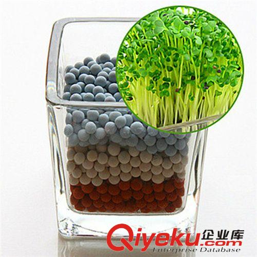 福龍 生態(tài)植物種植二代升級版陶碳球負(fù)離子植栽/辦公室迷你盆栽原始圖片3