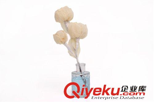 新款發布MT6037-2蔓芷葉脈花香薰套裝 揮發熏香禮盒套裝 多色