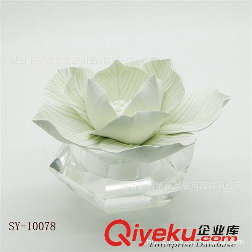 無火陶瓷香薰套裝 陶瓷干花 吸水花 吸精油 陶瓷花