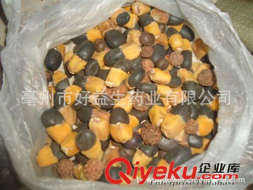 批發(fā)供應(yīng)金剛菩提子，鬼臉，長金剛，緬茄，咖喱子，無患子原始圖片2