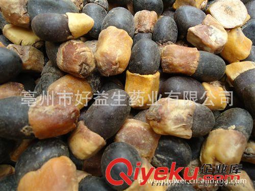 批發(fā)優(yōu)質(zhì)工藝品原材料緬茄菩提子，緬茄黑頭原始圖片3