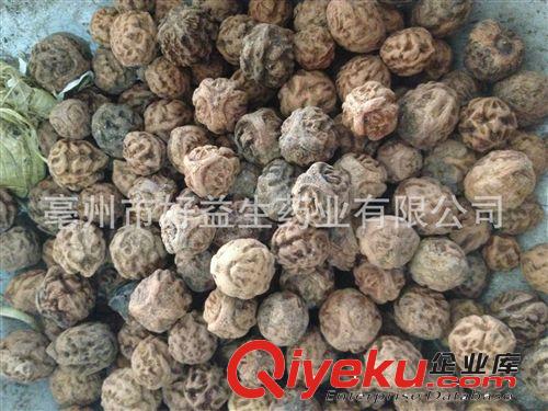 批發(fā)龍眼麒麟眼菩提子，山地龍眼，原始圖片2