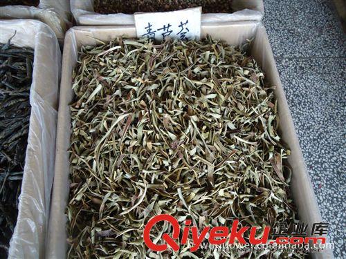 供應(yīng)蘆薈茶，白雪茶，松針茶，玄米茶，大麥茶