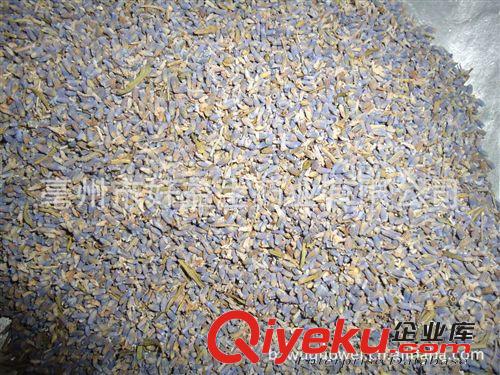 批發供應各種規格薰衣草，迷迭香，百里香，羅勒，原始圖片2