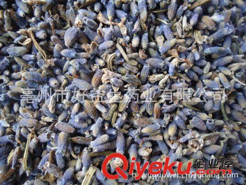 批發供應各種規格薰衣草，迷迭香，百里香，羅勒，原始圖片3